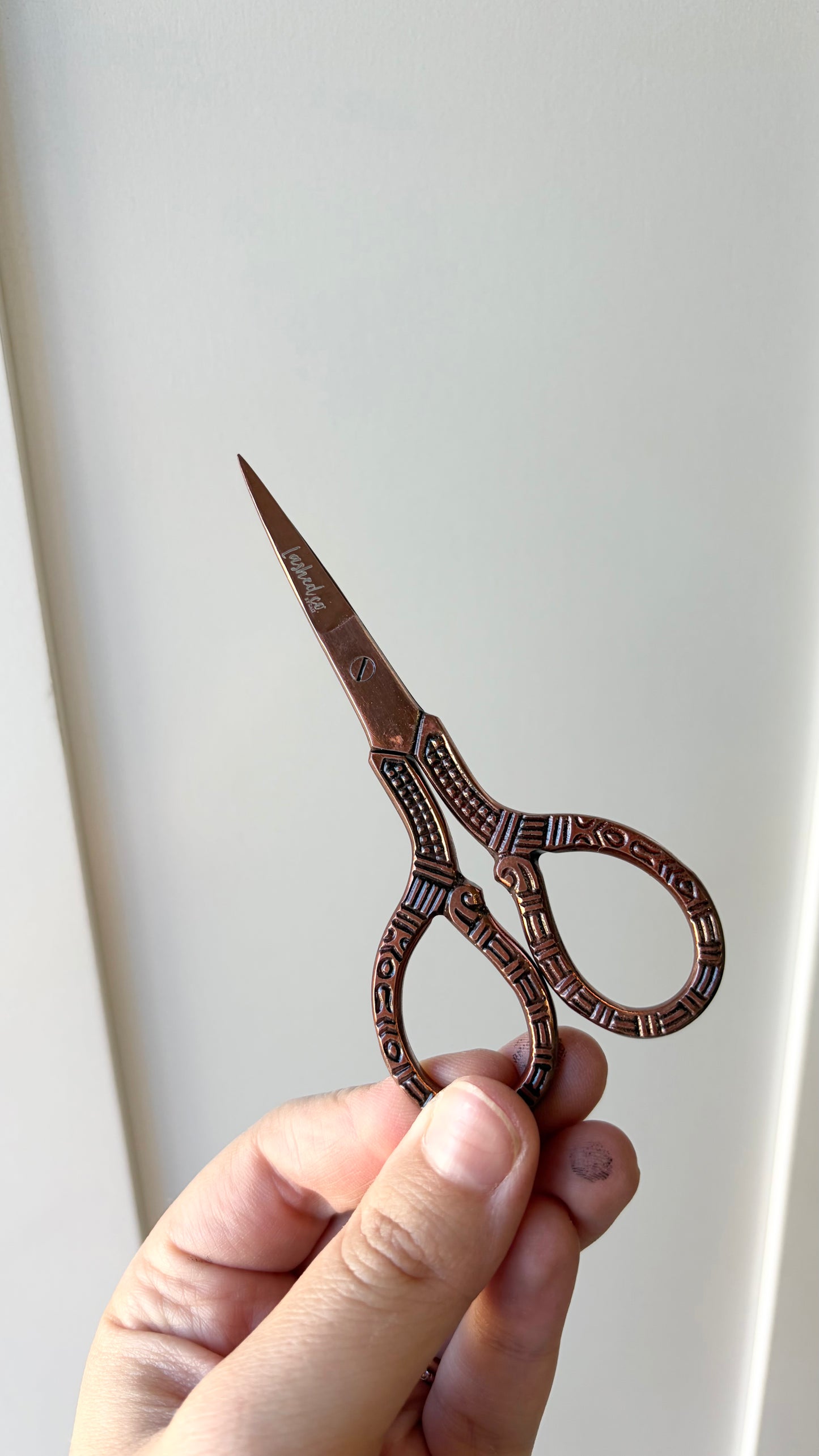 LASH SCISSORS